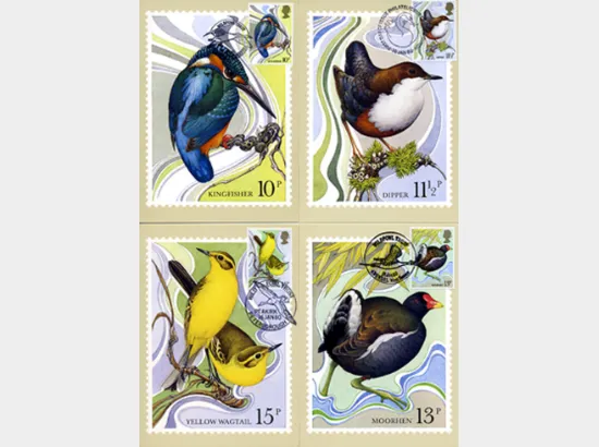 British Birds 1980