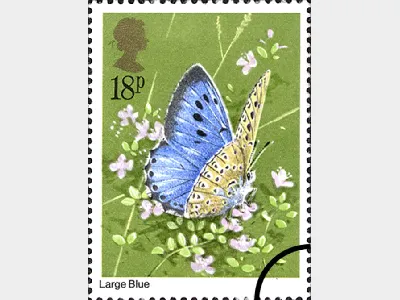 Butterflies: 18p