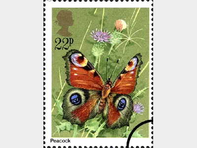 Butterflies: 22p