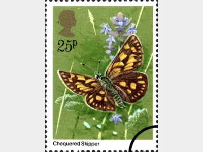 Butterflies: 25p