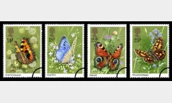 Butterflies Butterflies