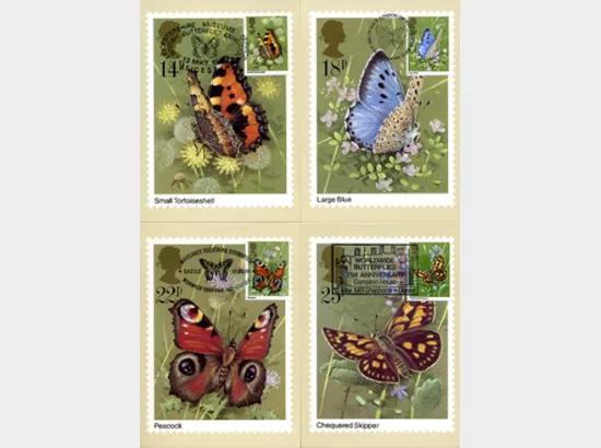 Butterflies