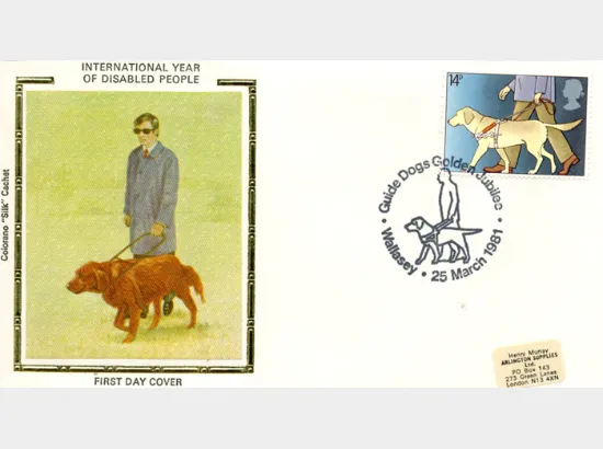 Year of the Disabled