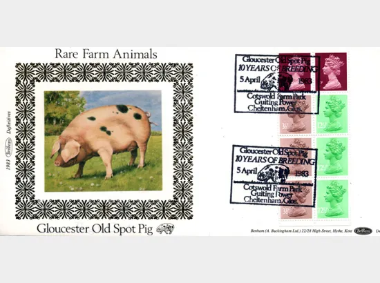 Vending: New Design: 50p Rare Breeds 2 (Glos Old Spot Pig)