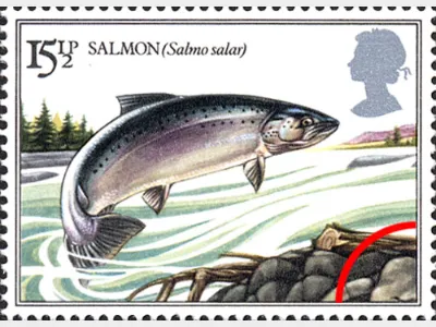 Freshwater Fish: 15 1/2p