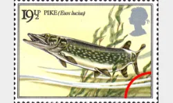 Freshwater Fish: 19 1/2p