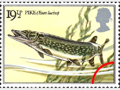 Freshwater Fish: 19 1/2p