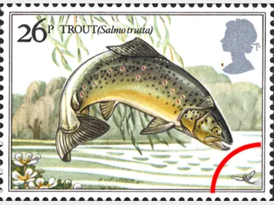 Freshwater Fish: 26p