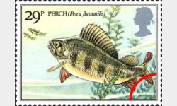 Freshwater Fish: 29p