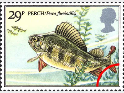 Freshwater Fish: 29p