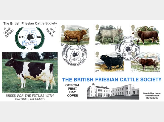 British Cattle