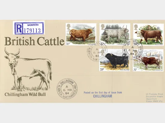 British Cattle