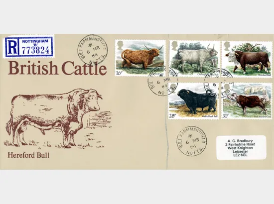 British Cattle