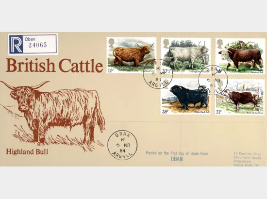 British Cattle