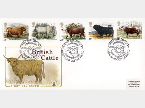 British Cattle