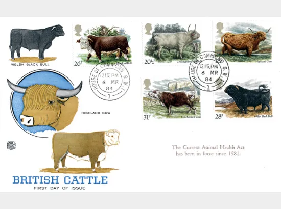 British Cattle