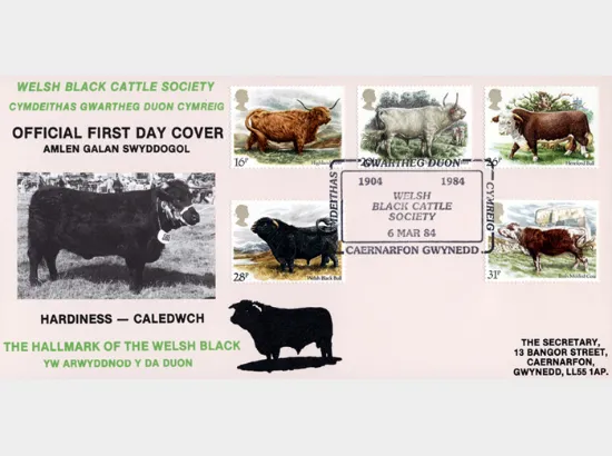 British Cattle