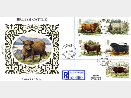 British Cattle