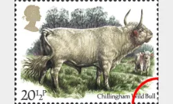 British Cattle: 20 1/2p