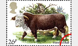 British Cattle: 26p