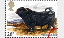 British Cattle: 28p
