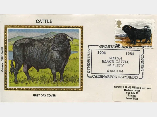 British Cattle