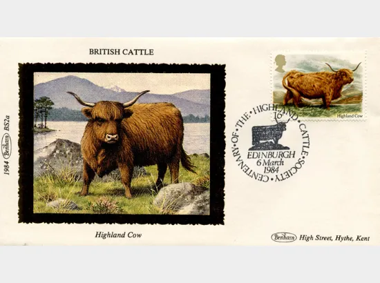 British Cattle