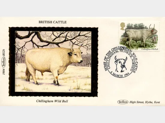 British Cattle