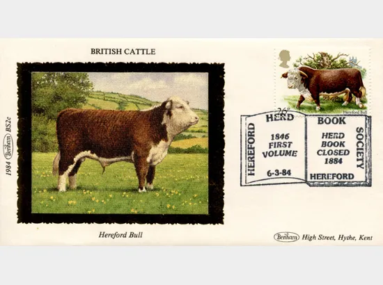 British Cattle