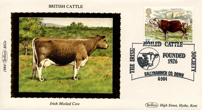 1984_Cattle_2e