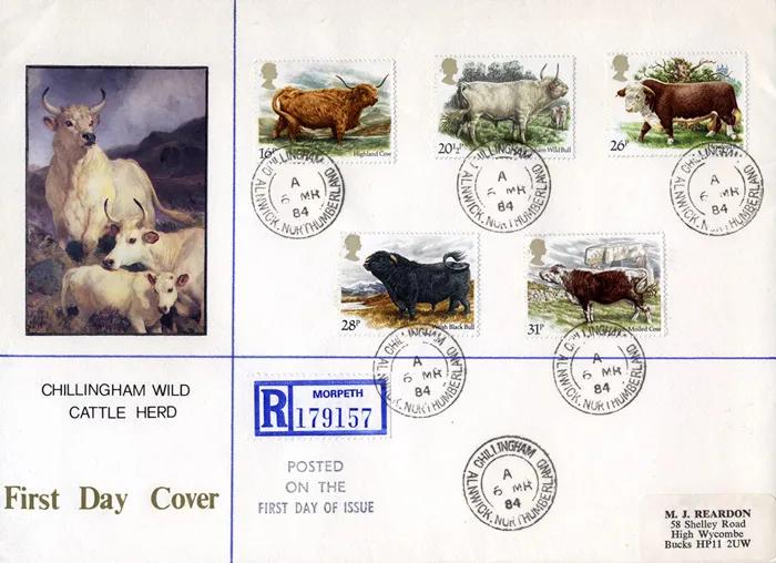 1984_Cattle_Cows