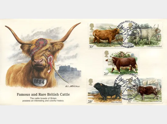 British Cattle