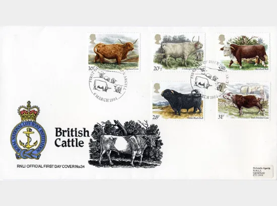 British Cattle