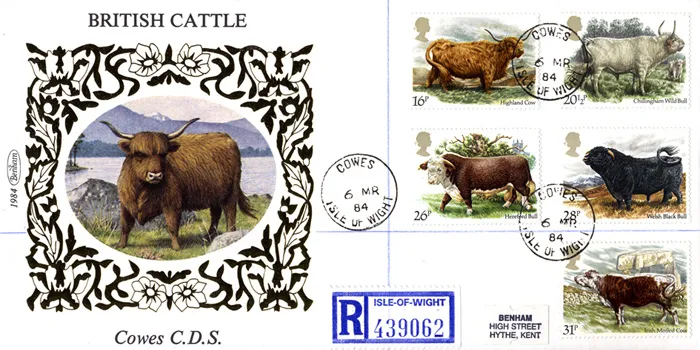 1984_cattle_cowes