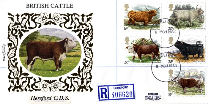 1984_cattle_hereford