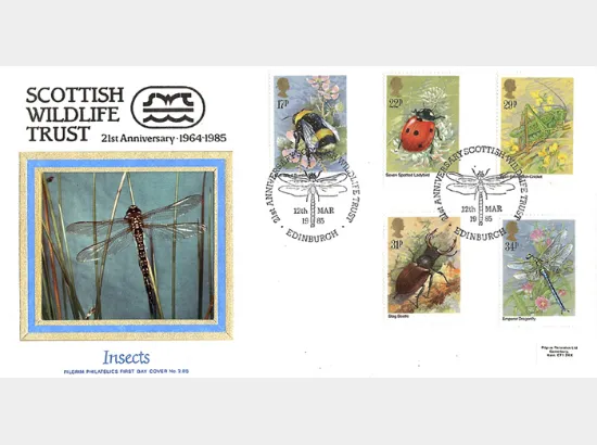 British Insects