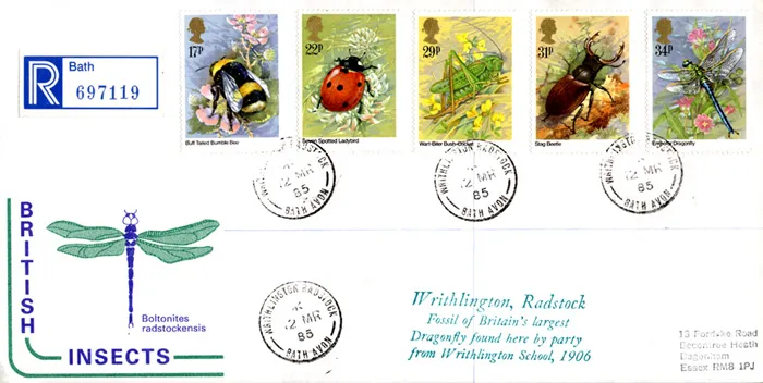 1985-Insects-Writh