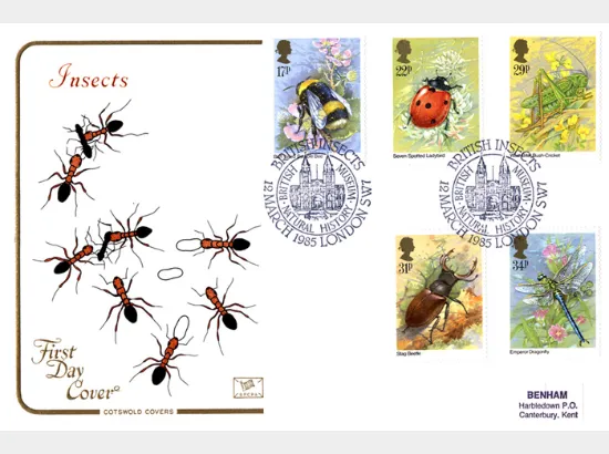 British Insects