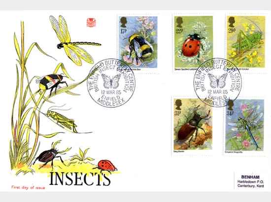 British Insects