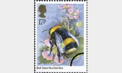 British Insects: 17p