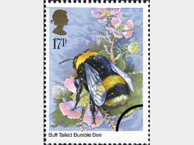British Insects: 17p