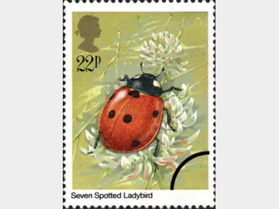 British Insects: 22p