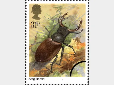 British Insects: 31p
