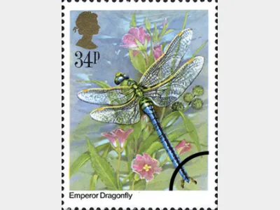 British Insects: 34p