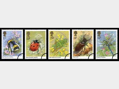 British Insects