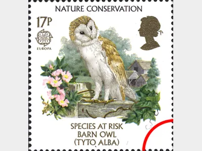 Species at Risk: 17p