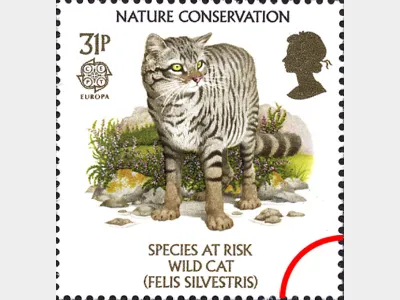 Species at Risk: 31p