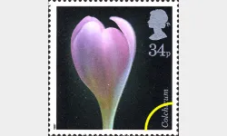 Flowers: 34p