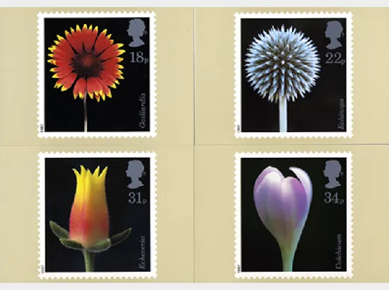 Flowers