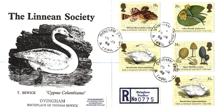 1988-LinSocMusccds